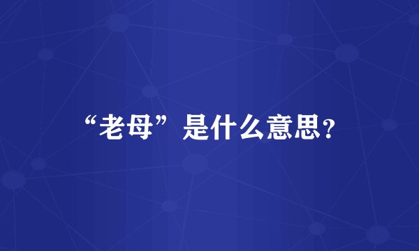 “老母”是什么意思？