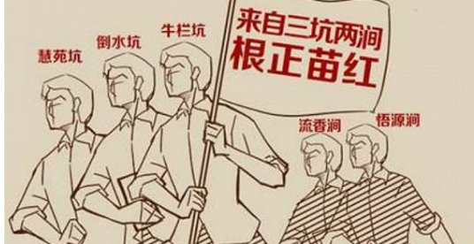 “根红苗正”与“根正苗红”的区别是什么？