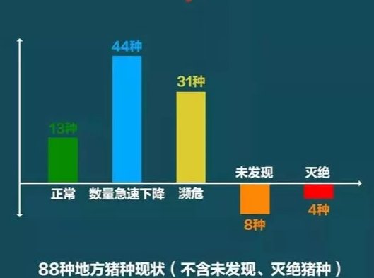 猪肉价格继续上涨，会对生活产生什么影响？