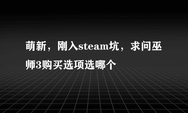 萌新，刚入steam坑，求问巫师3购买选项选哪个