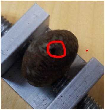 怎样打磨菩提子