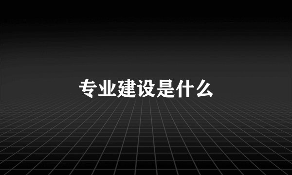 专业建设是什么