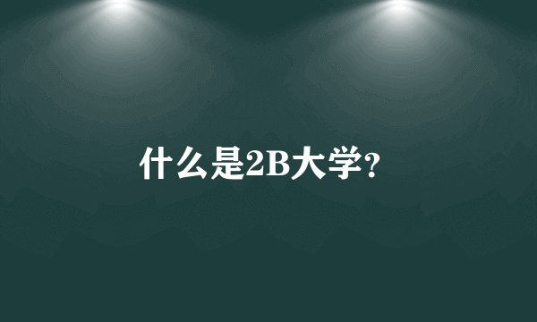 什么是2B大学？