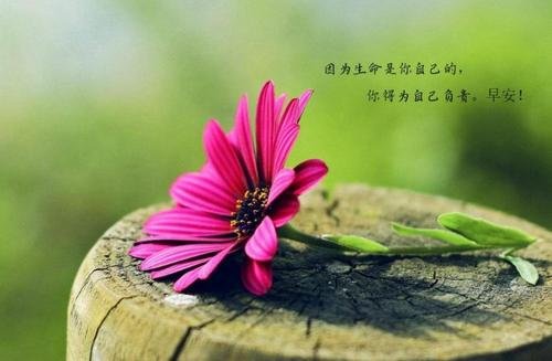 申请成为一般纳税人有哪些条件?