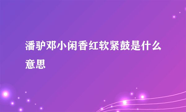 潘驴邓小闲香红软紧鼓是什么意思