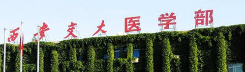 陕西省都有哪些医科大学