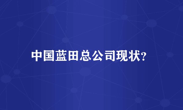 中国蓝田总公司现状？