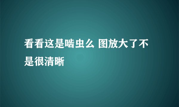 看看这是啮虫么 图放大了不是很清晰