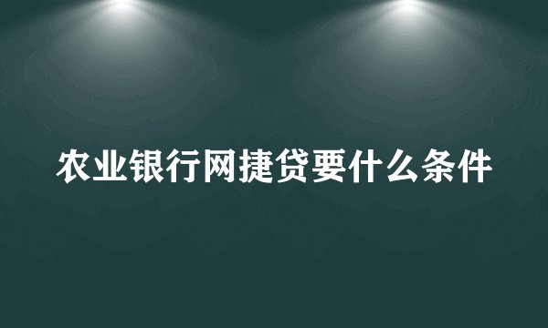 农业银行网捷贷要什么条件