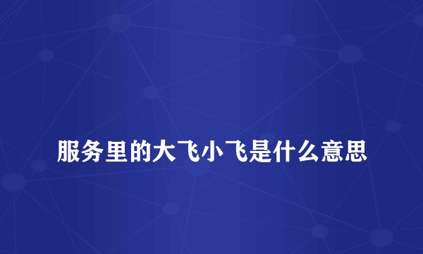 
服务里的大飞小飞是什么意思

