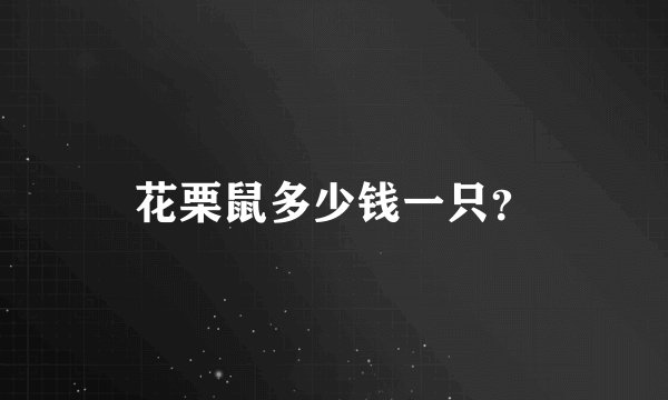 花栗鼠多少钱一只？