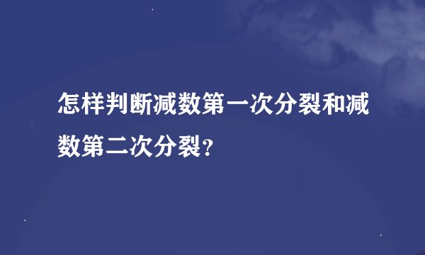 怎样判断减数第一次分裂和减数第二次分裂？
