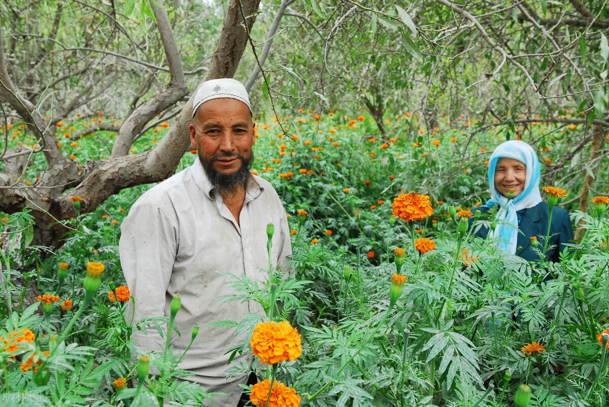 新疆此次疫情来源表现为单一源头来源，你猜出是什么了吗？