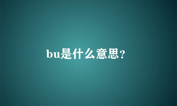 bu是什么意思？