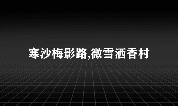 寒沙梅影路,微雪洒香村