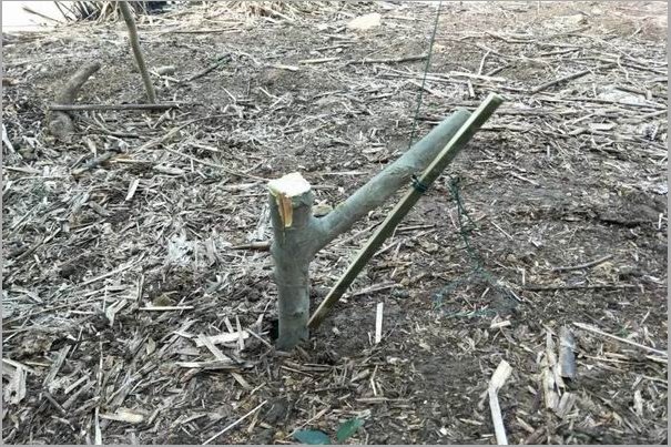 野鸡套子制作方法教程