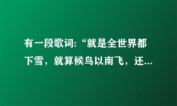 有一段歌词:“就是全世界都下雪，就算候鸟以南飞，还有一个我，痴痴在等你”是什么歌名？