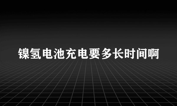 镍氢电池充电要多长时间啊