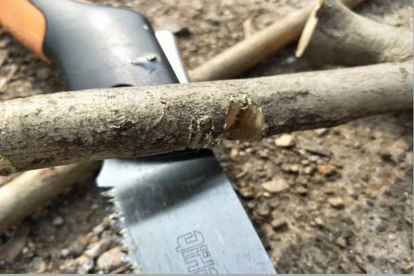 野鸡套子制作方法教程