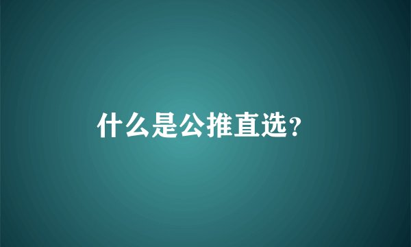 什么是公推直选？