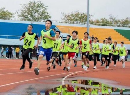 综评运动会参与情况怎么写？