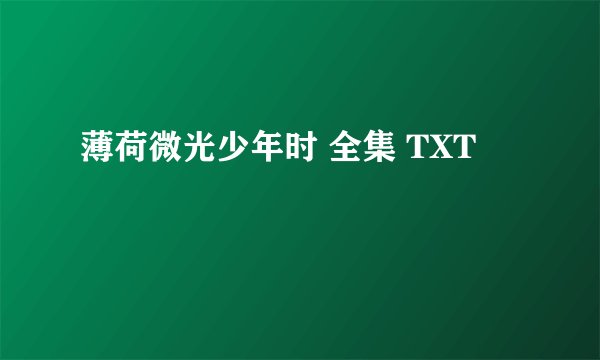 薄荷微光少年时 全集 TXT