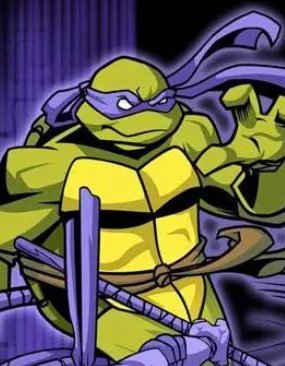 忍者神龟的名字