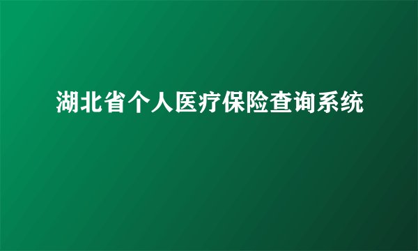 湖北省个人医疗保险查询系统