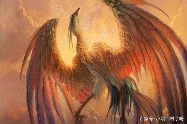 毛犊是什么动物？为什么说麒麟的祖先是它？