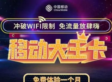 移动大王卡套餐介绍是什么？