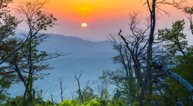 黑吉辽面积和人口