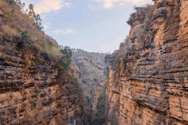 地球上的第一个人是怎么来的