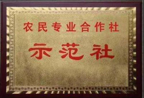 农业合作社注册条件是什么?
