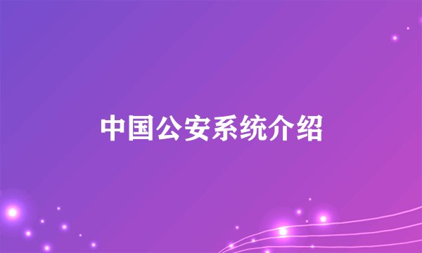 中国公安系统介绍