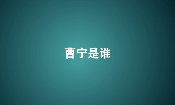 曹宁是谁