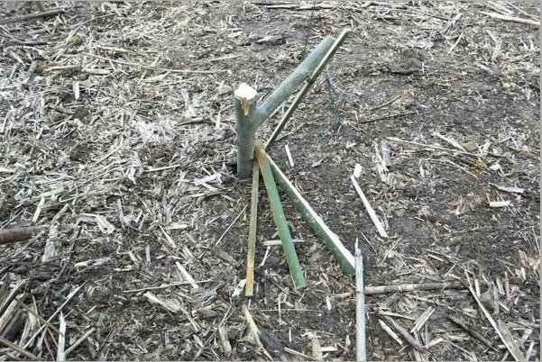 野鸡套子制作方法教程