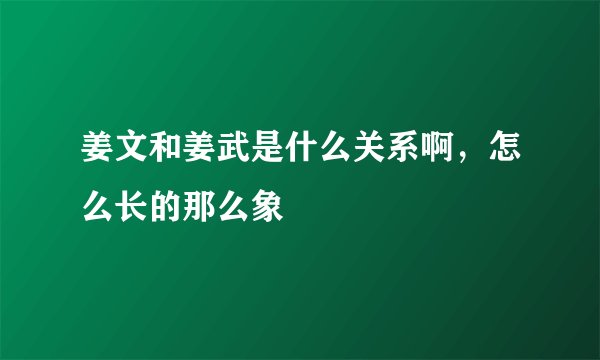 姜文和姜武是什么关系啊，怎么长的那么象