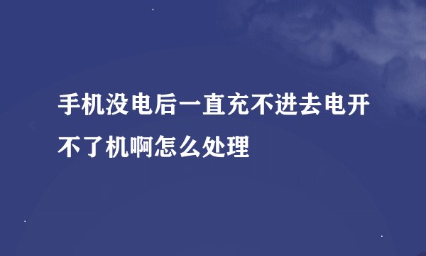 手机没电后一直充不进去电开不了机啊怎么处理