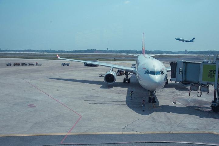 飞机延误多久能够申请赔偿?