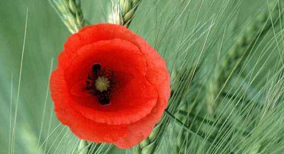 淘宝优惠券群怎么取名字吸引人