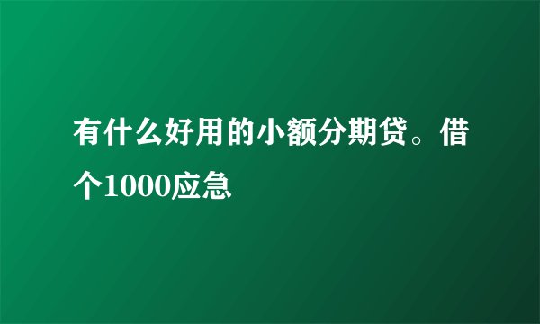 有什么好用的小额分期贷。借个1000应急
